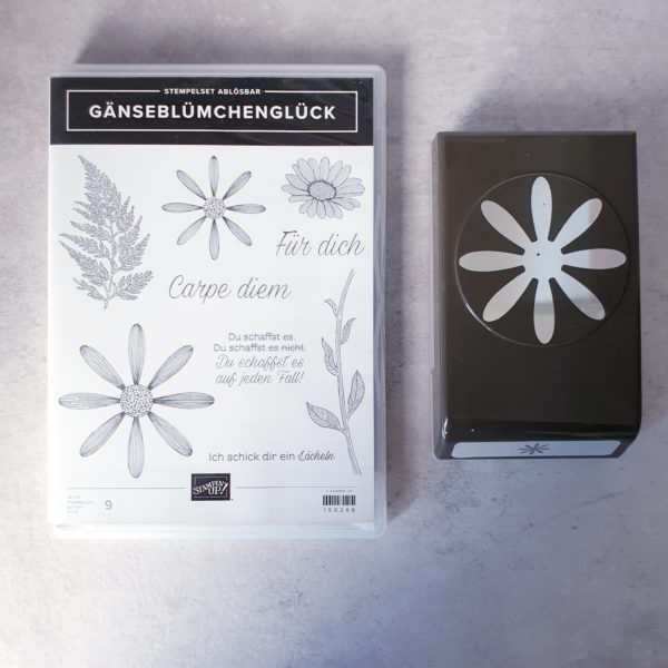 Produktpaket Stempelset "Gänseblümchenglück" + Stanze "Erdbeere", Stampin' Up!