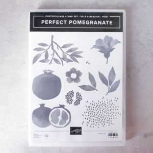 Stempelset: "Perfect Pomegranate" (Neu) von Stampin' Up!: 10 Klarsichtstempel