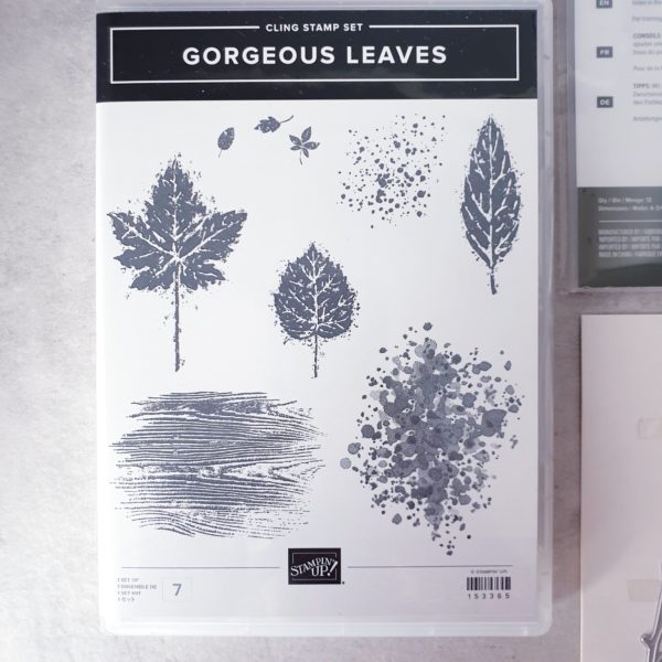 Produktpaket "Gorgeous Leaves"; Stempelset & Stanzformen von Stampin' Up! (gebraucht)
